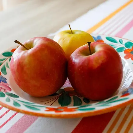 Holiday home Kuca Za Odmor 